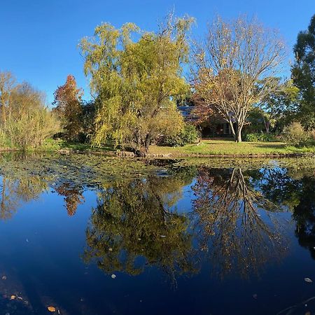 Holly Lane Mews Motel Yarra Glen Ngoại thất bức ảnh