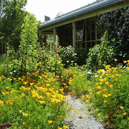 Holly Lane Mews Motel Yarra Glen Ngoại thất bức ảnh