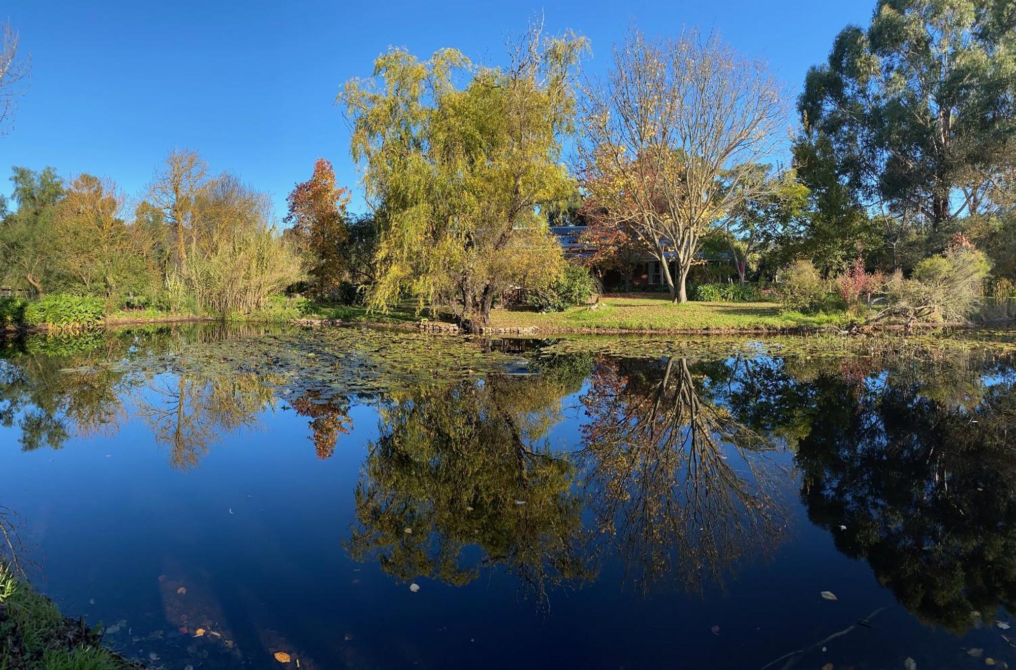 Holly Lane Mews Motel Yarra Glen Ngoại thất bức ảnh