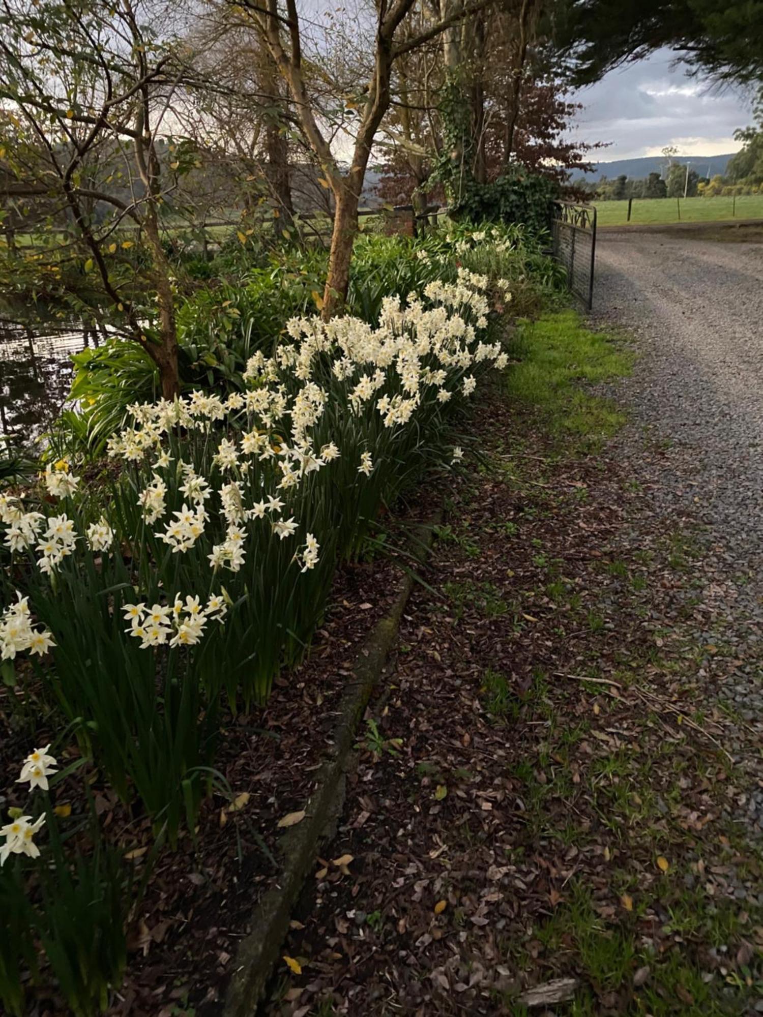 Holly Lane Mews Motel Yarra Glen Ngoại thất bức ảnh